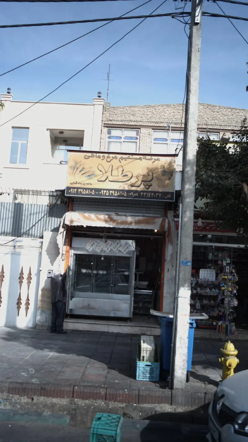 عرضه مستقیم مرغ و ماهی پرطلا