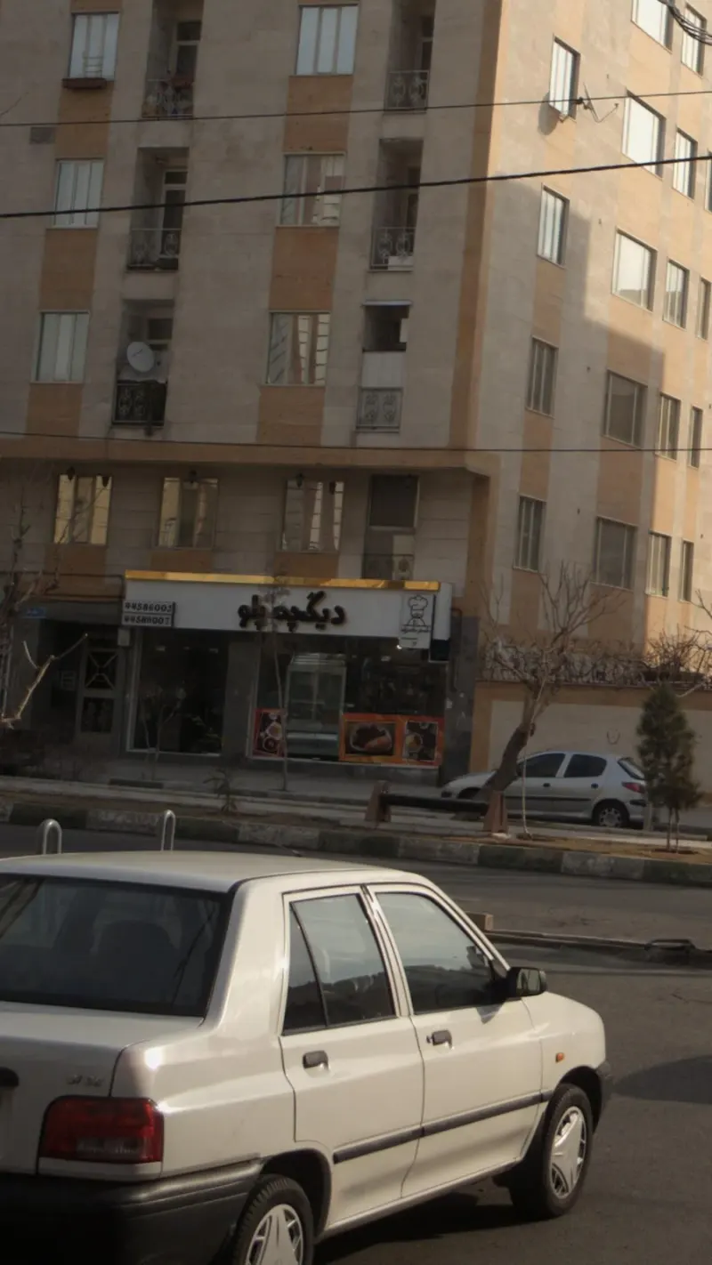 دیگچه پلو