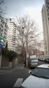 دکتر مهسا رکنی