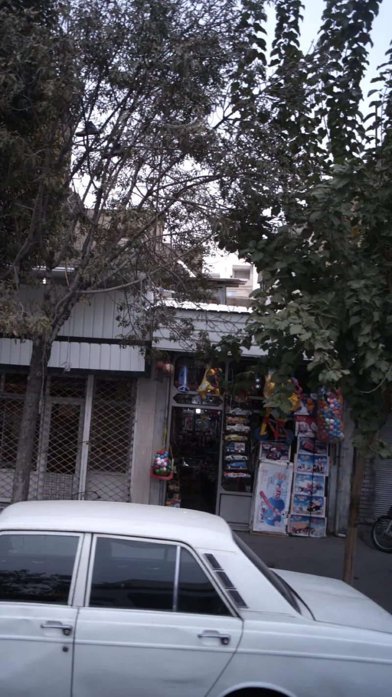 اسباب بازی فروشی شرکا