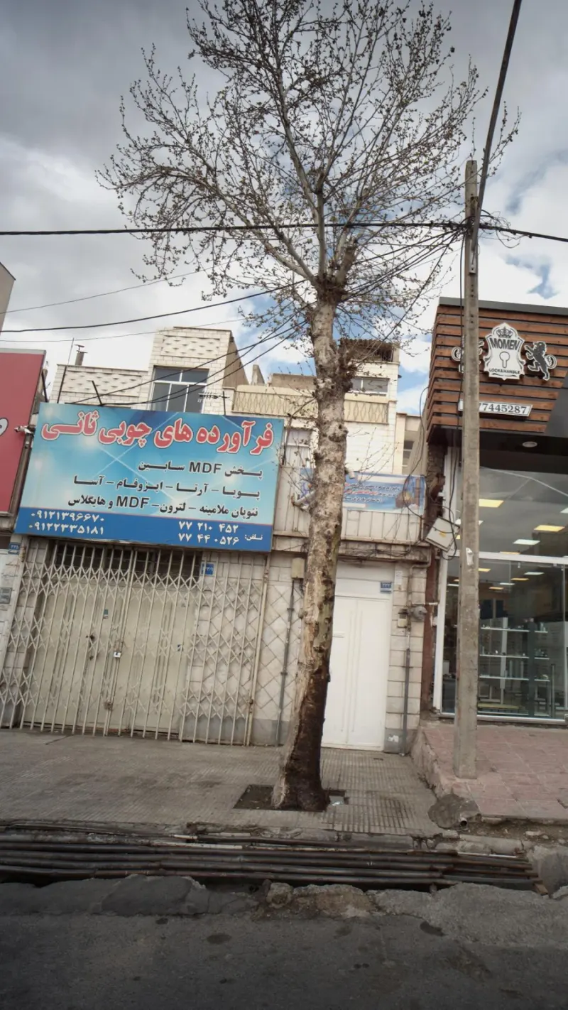 فر اورده ای چوبی ثانی