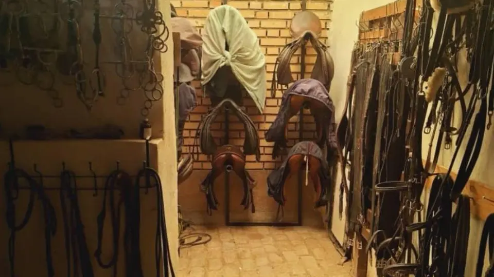 باشگاه سوارکاری طاق بستان