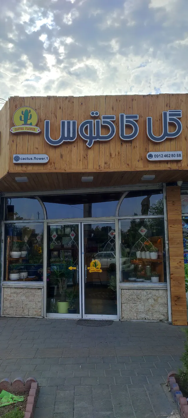 گل کاکتوس