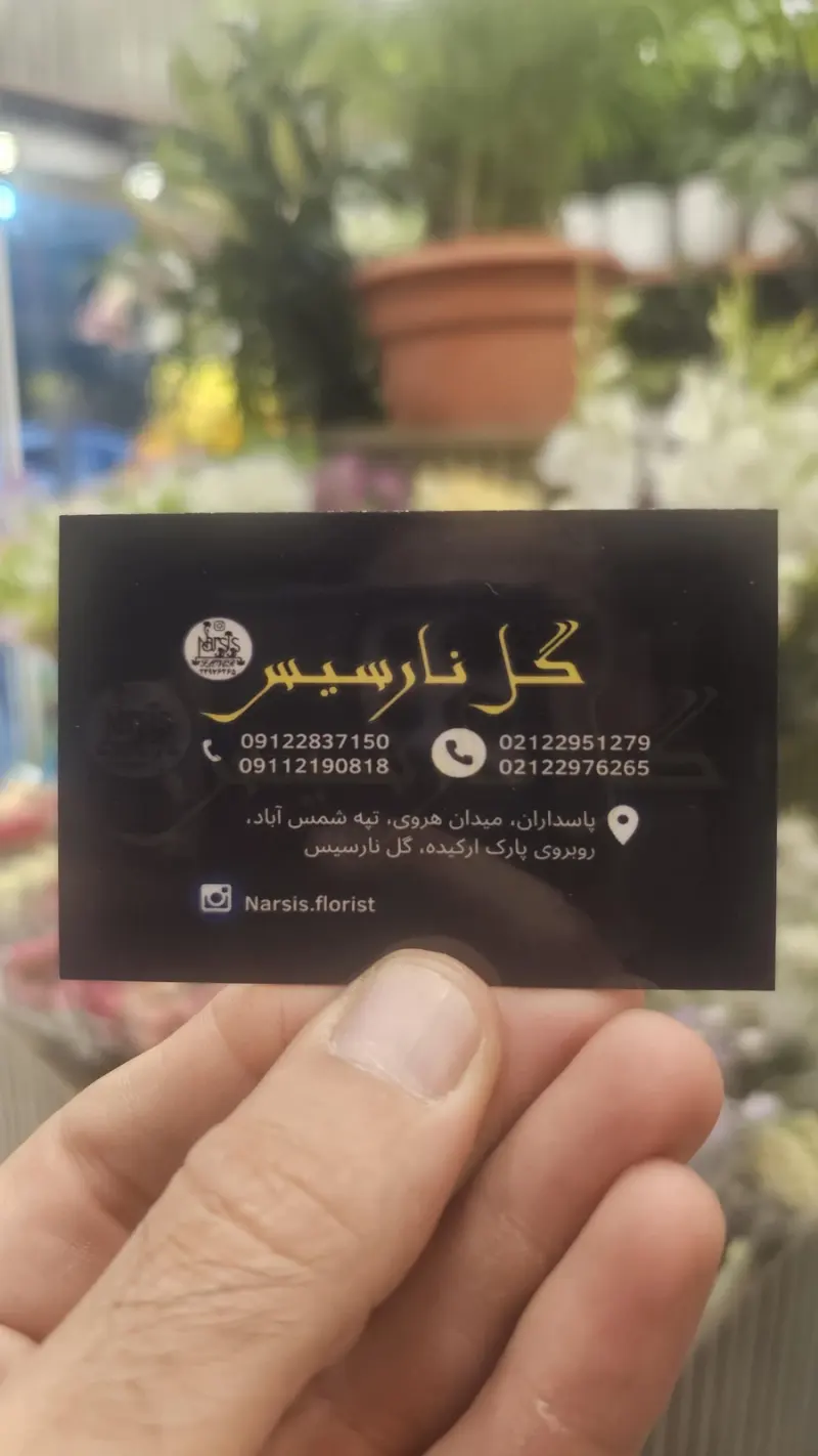گلفروشی نارسیس