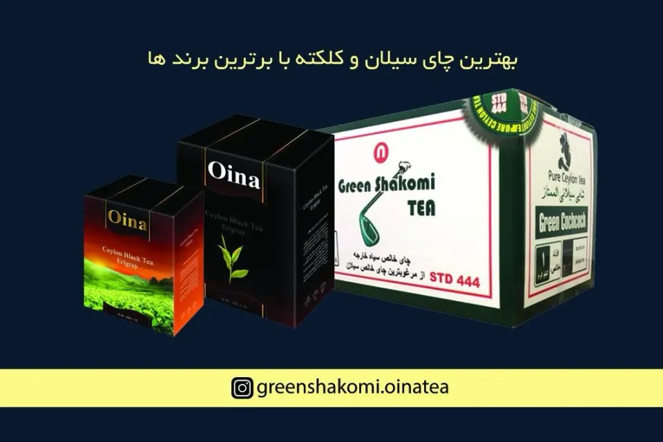 شرکت ستاره سرای نشاط آریا
