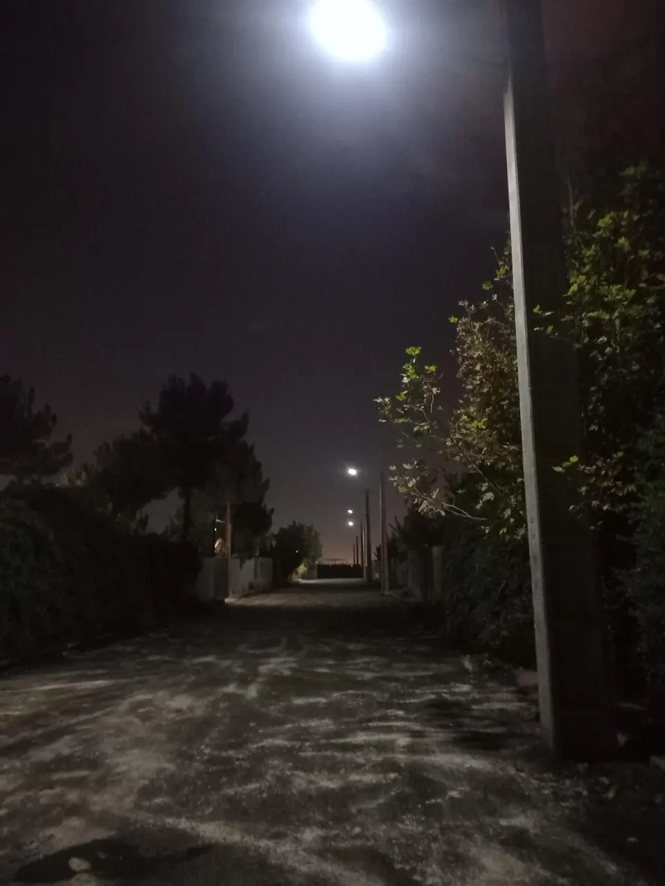 باغ حاج جعفر حیدری