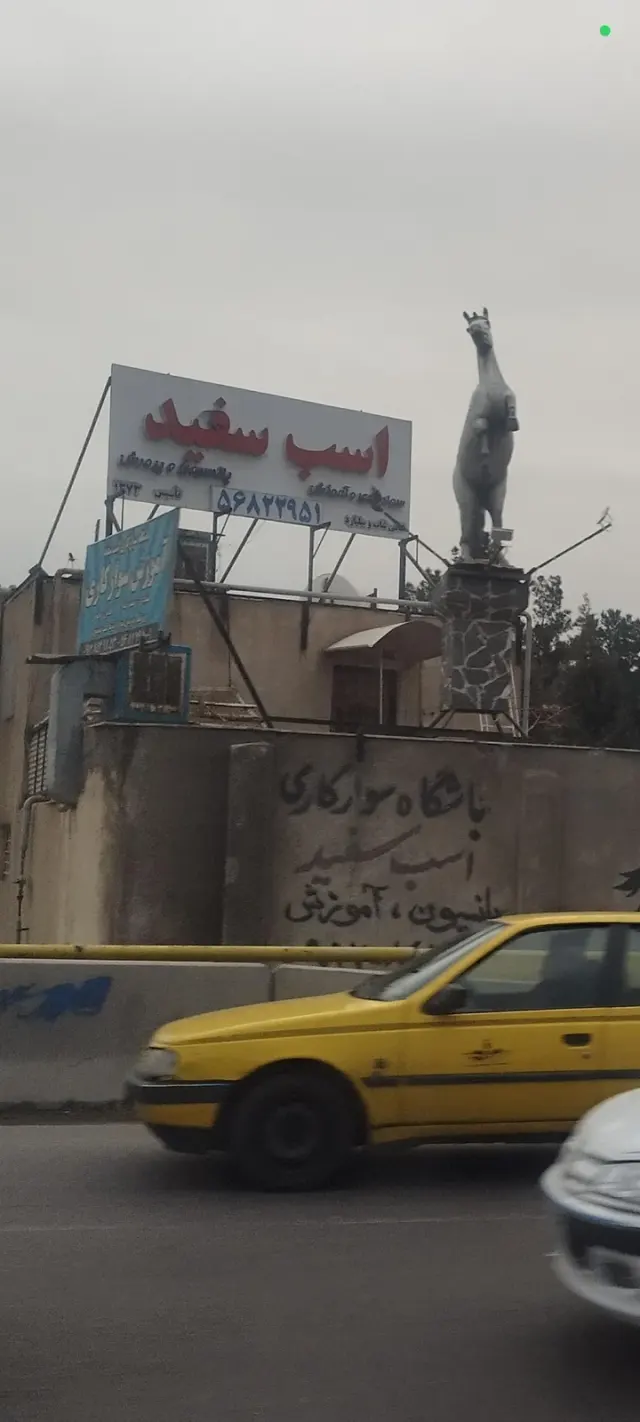 باشگاه سوارکاری اسب سفید