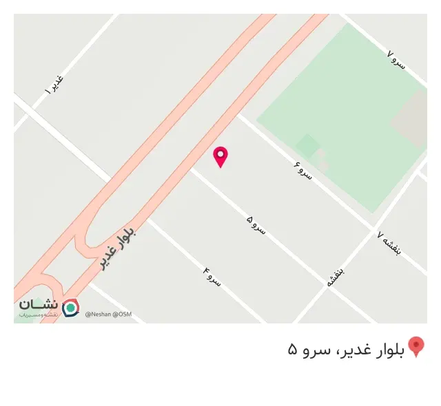پیتزا تنور