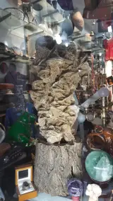 گالری مبری