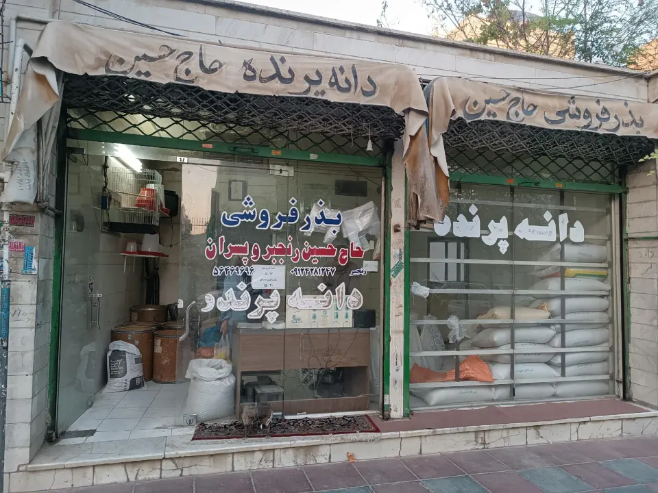 دانه پرنده حاج حسین