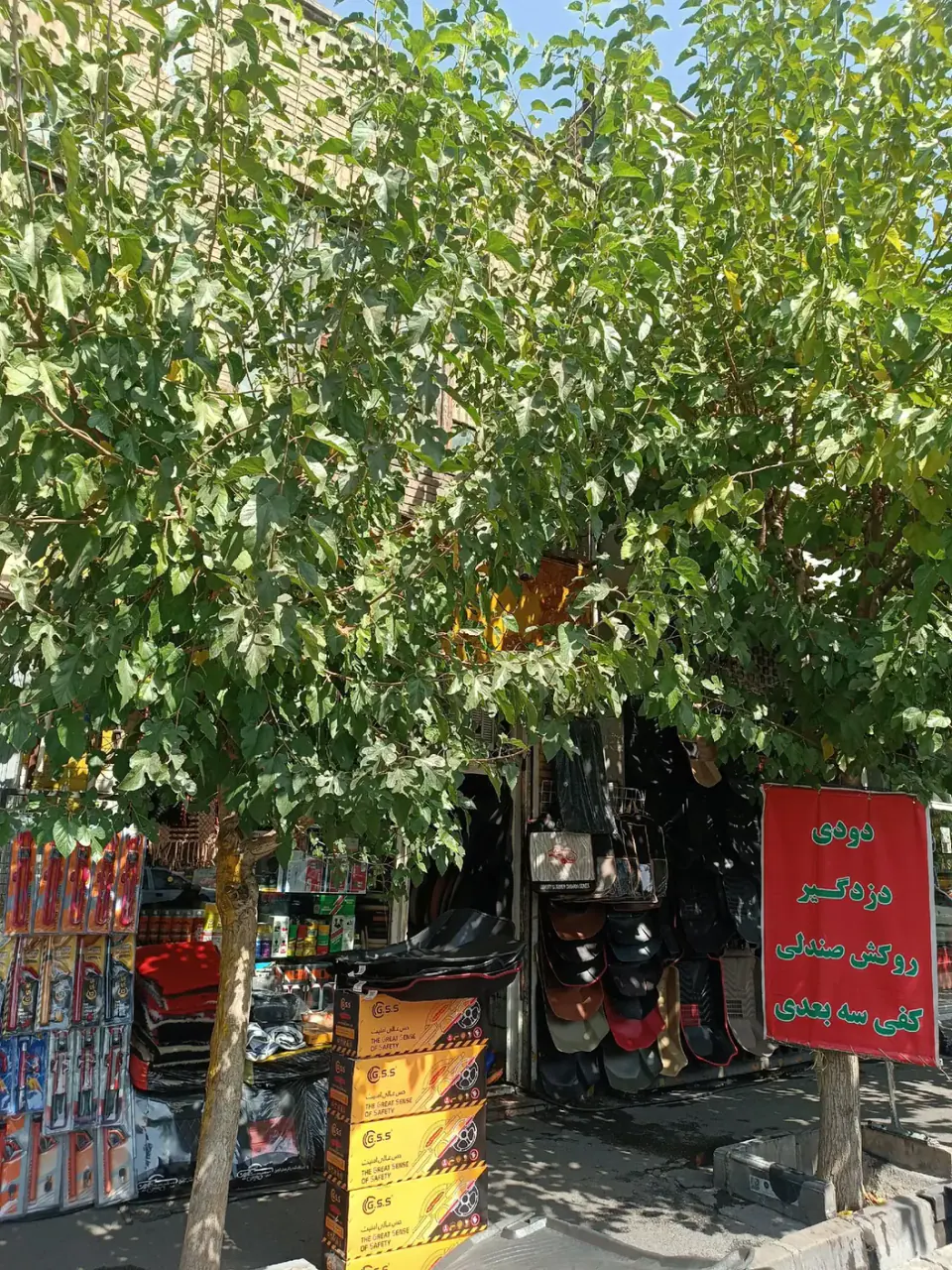 روکش صندلی شیشه دودی سعیدی