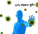 عطاری پنیرک
