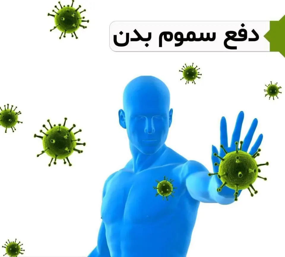 عطاری پنیرک
