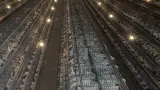 پرورش ماهی زینتی آکوآلند