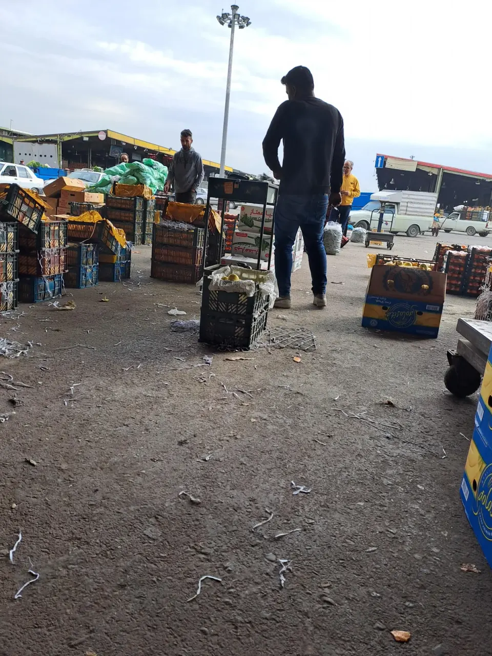 بازرگانی مهدی مرادی