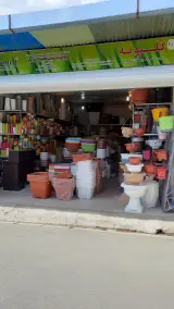 بازار گل بابایی
