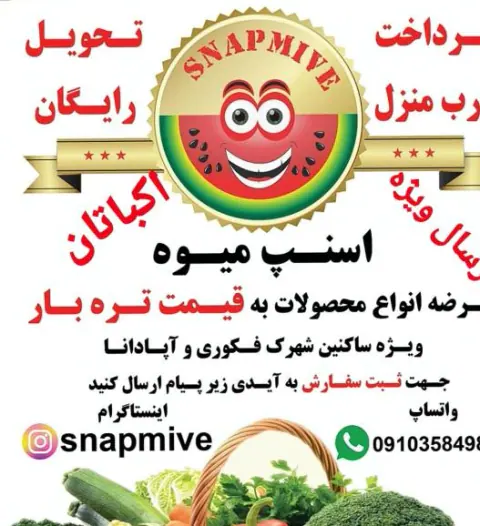 اسنپ میوه شعبه حضوری صنایع هواپیمایی