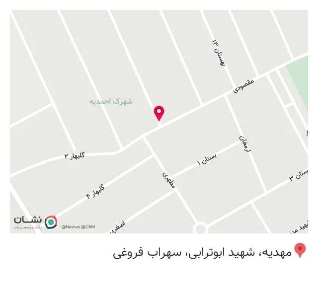 فروشگاه مواد شوینده و بهداشتی سعید