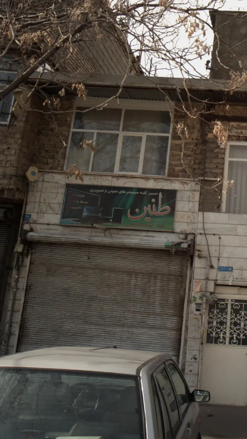 طنین