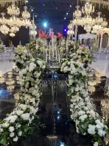 باغ تالار آریانا