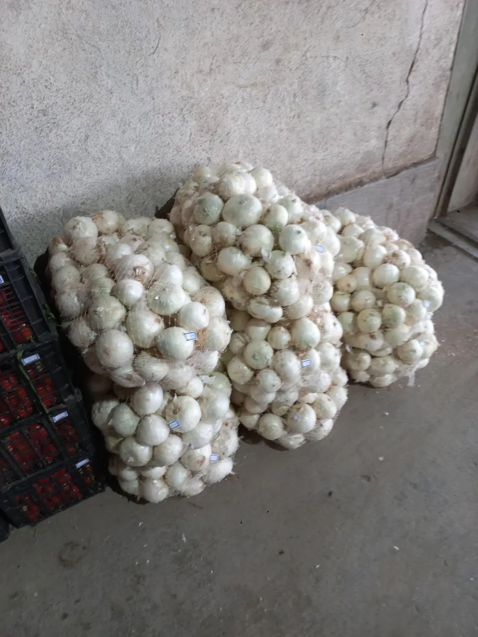 آرتا پخش (پخش تره بار رستورانی)