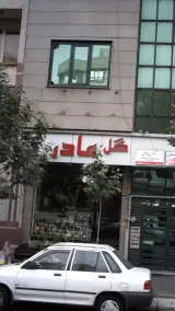 گل مادر