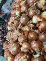 سوپر میوه صبوری