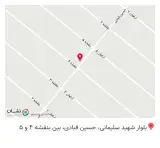 تهیه غذا باران