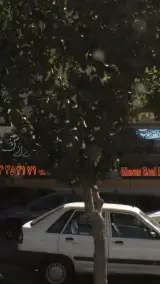 مشاورین املاک آسام