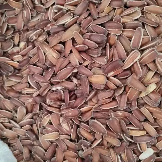 پرنده سرای حسین