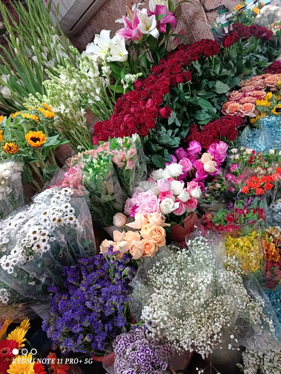 گل سرای امیر