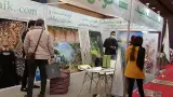 کاشی و سرامیک کاکتوس