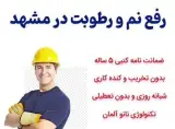 لوله باز کنی صادقی