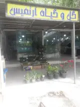 فروشگاه گل آرتمیس