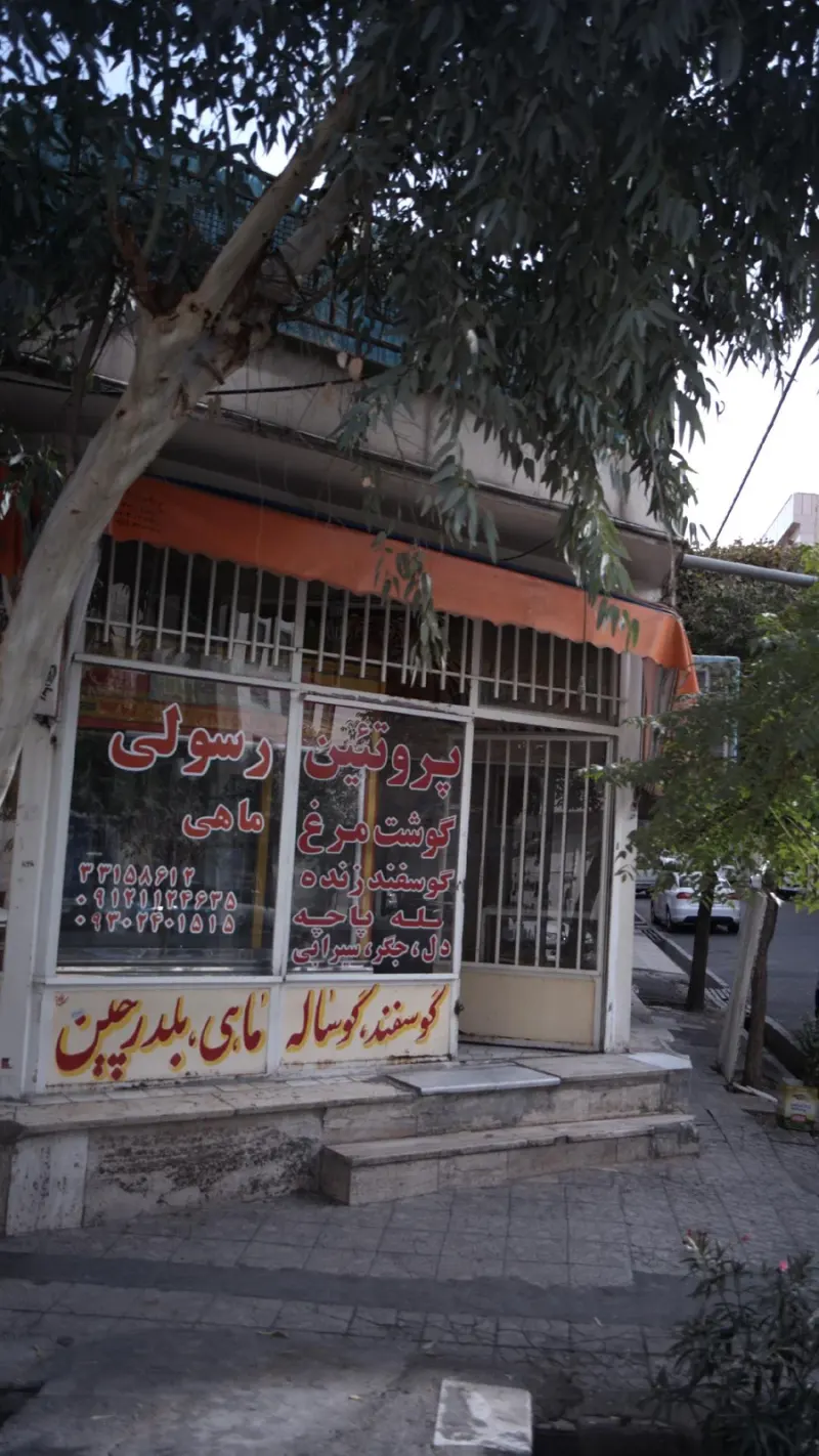 پروتئین رسولی