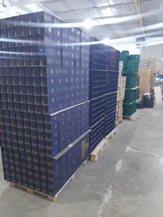 هاردباکس یاس