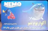 آکواریوم در فرجام تهران