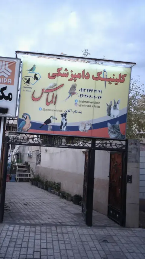 کلینیک دامپزشکی الماس