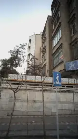 دکتر مسعود داداش زاده اصل