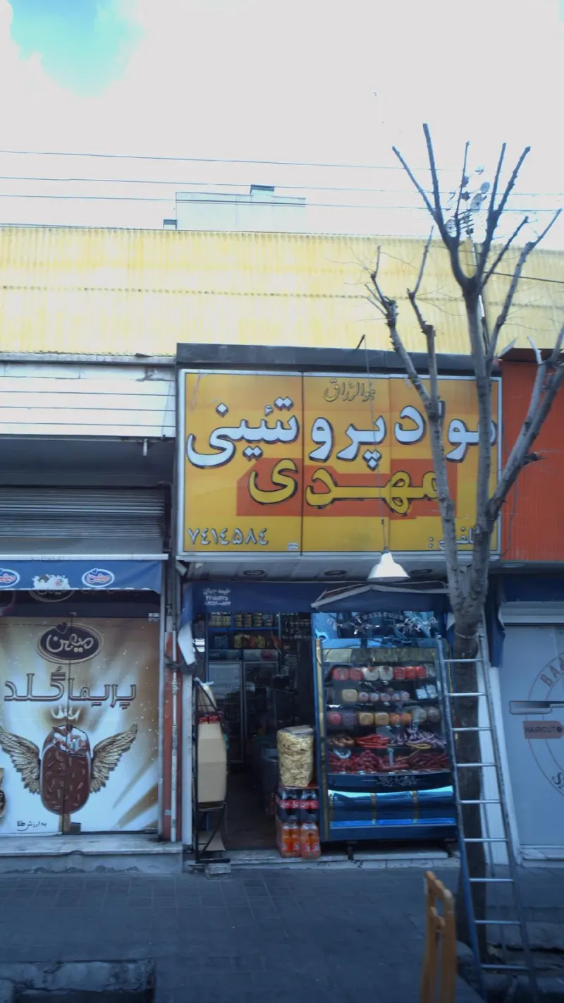 مواد پروتئینی مهدی