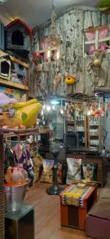 پت شاپ آرنا میو