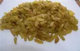 کشمش طلایی قلمی کاشمر