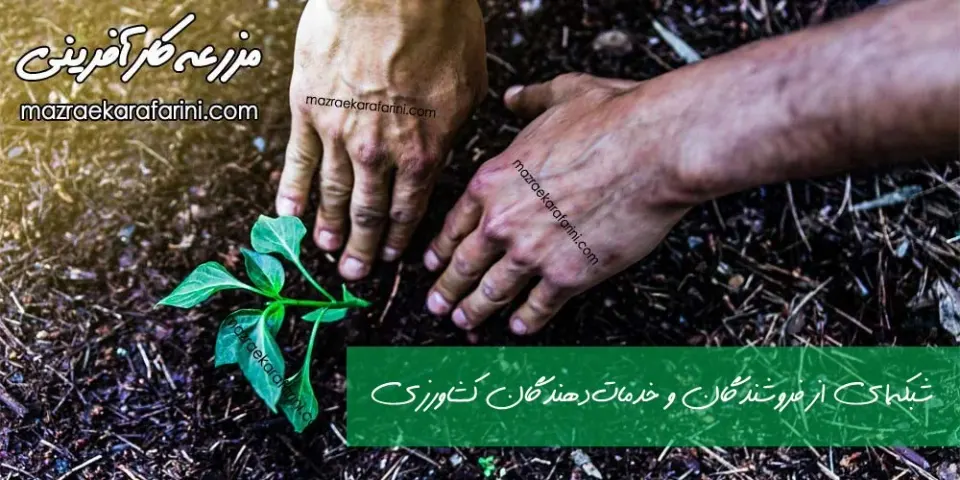 بازار آنلاین کشاورزی مزرعه کارآفرینی