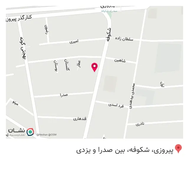 گلفروشی گل خوشه
