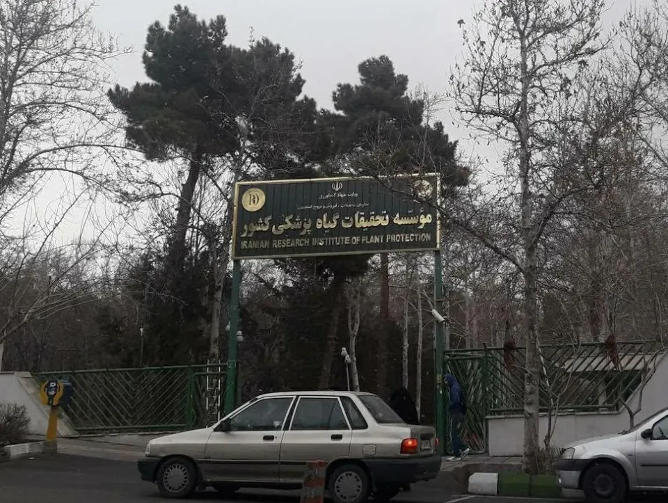 موسسه تحقیقات گیاه پزشکی کشور