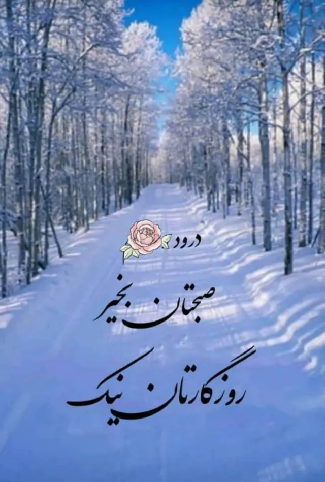 نایلون و سلفون 110