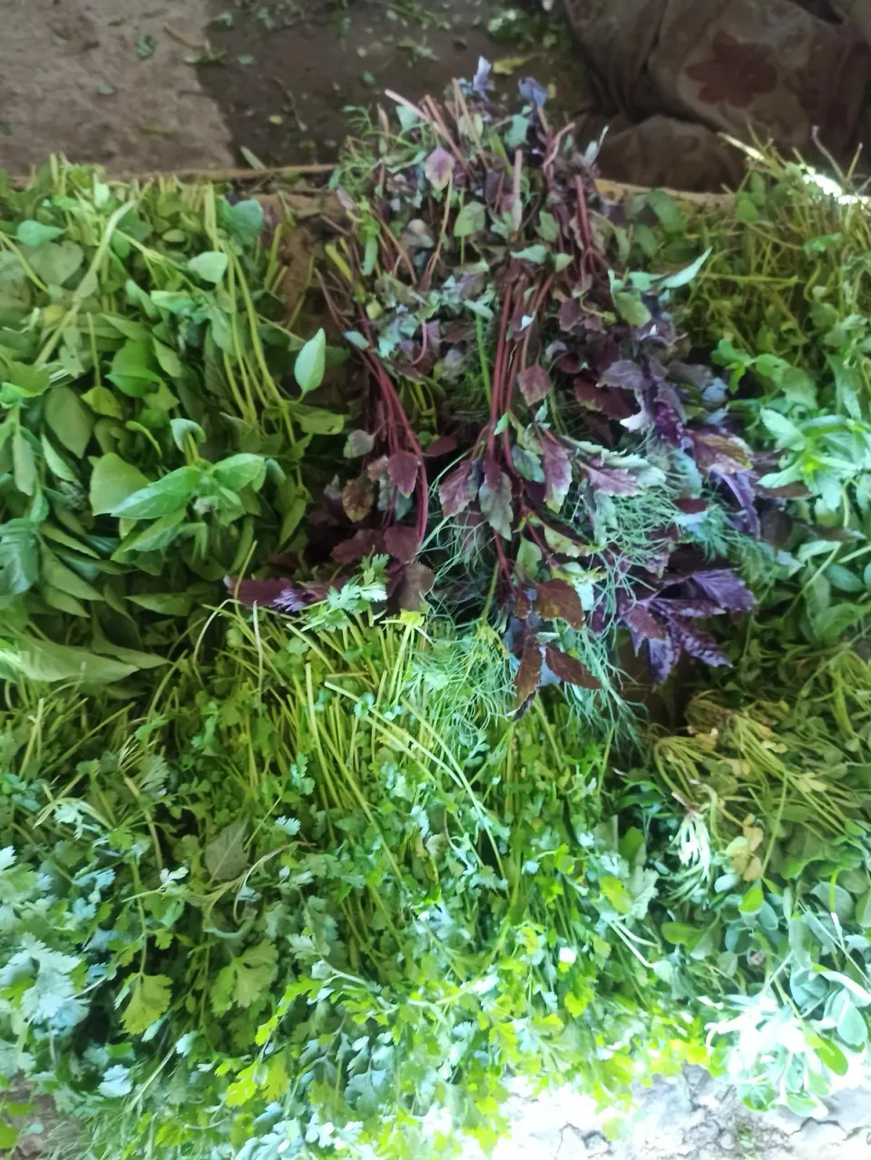 سبزی فروشی سید