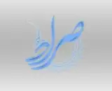 خیریه امین عج