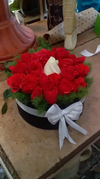 گل فروشی آدنیوم