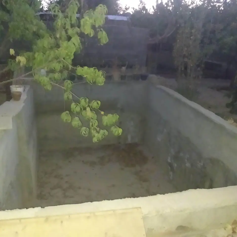 باغ صبا